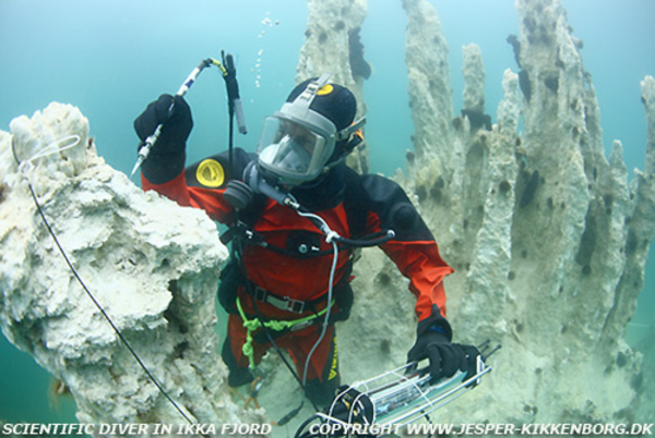 SCIENTIFIC-DIVER.jpg SCIENTIFIC DIVER